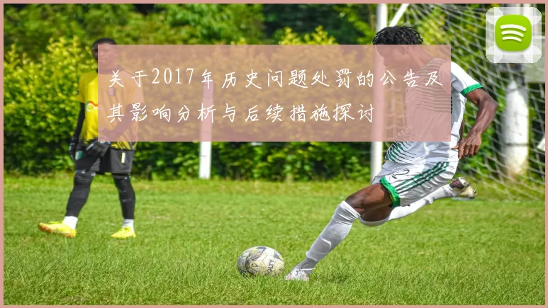 关于2017年历史问题处罚的公告及其影响分析与后续措施探讨