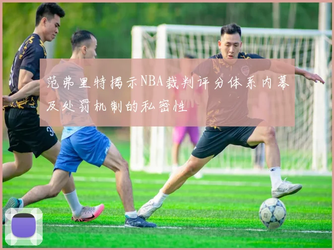 范弗里特揭示NBA裁判评分体系内幕及处罚机制的私密性