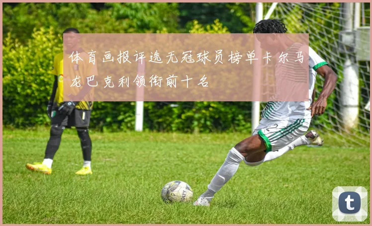 体育画报评选无冠球员榜单卡尔马龙巴克利领衔前十名