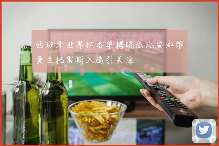 西班牙世界杯名单揭晓法比安加维费兰托雷斯入选引关注